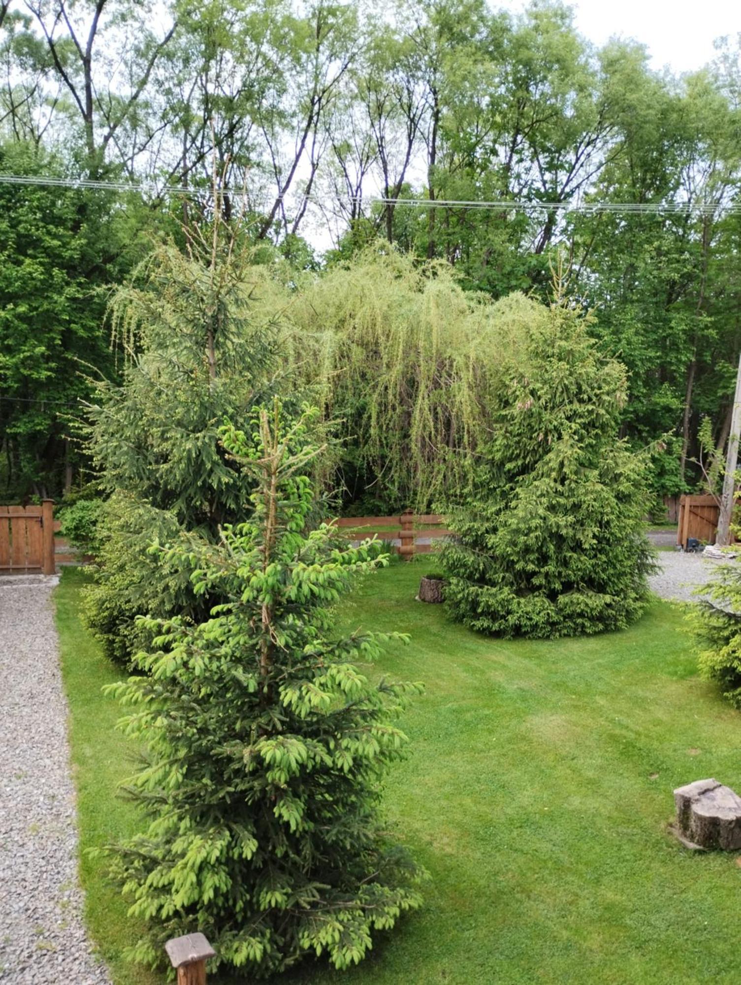 Apartament Nad Potokiem Wisła Buitenkant foto